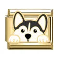 Charm dorado perrito