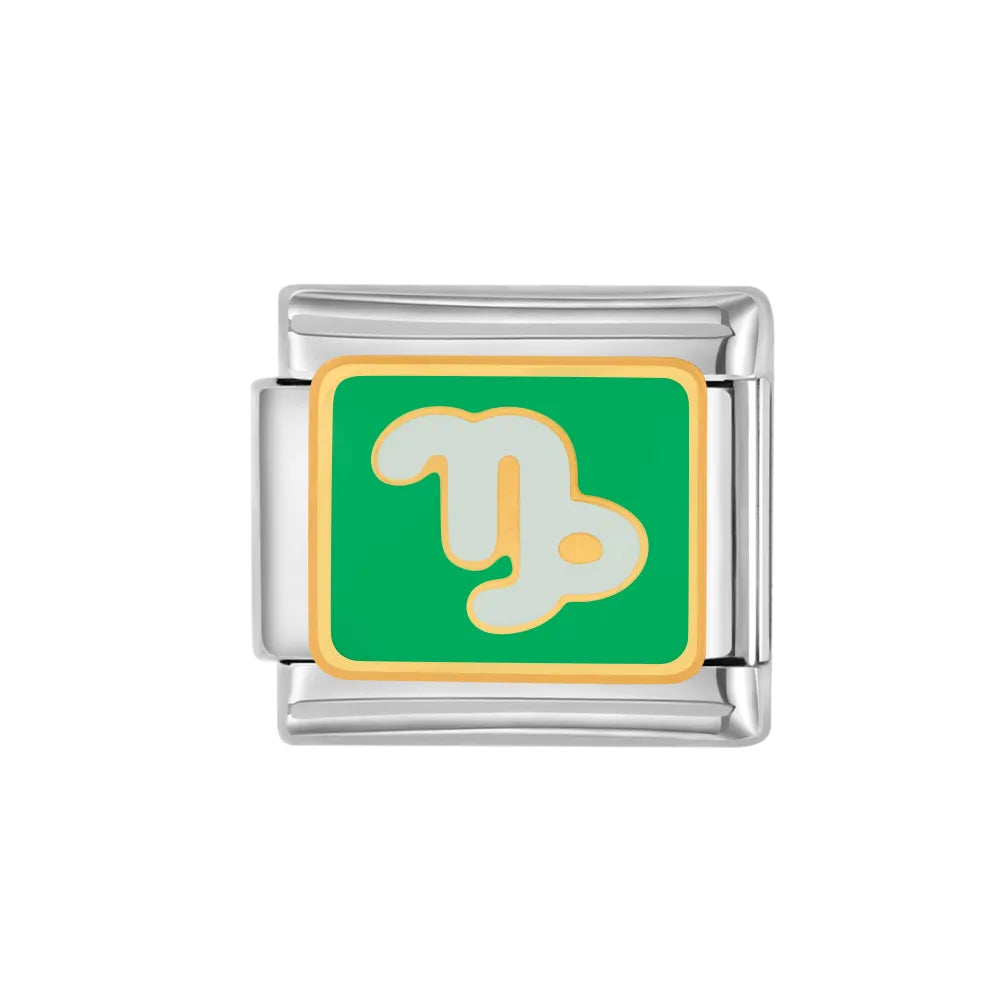 Charm plateado capricornio