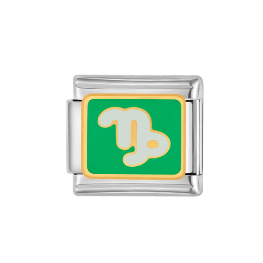 Charm plateado capricornio