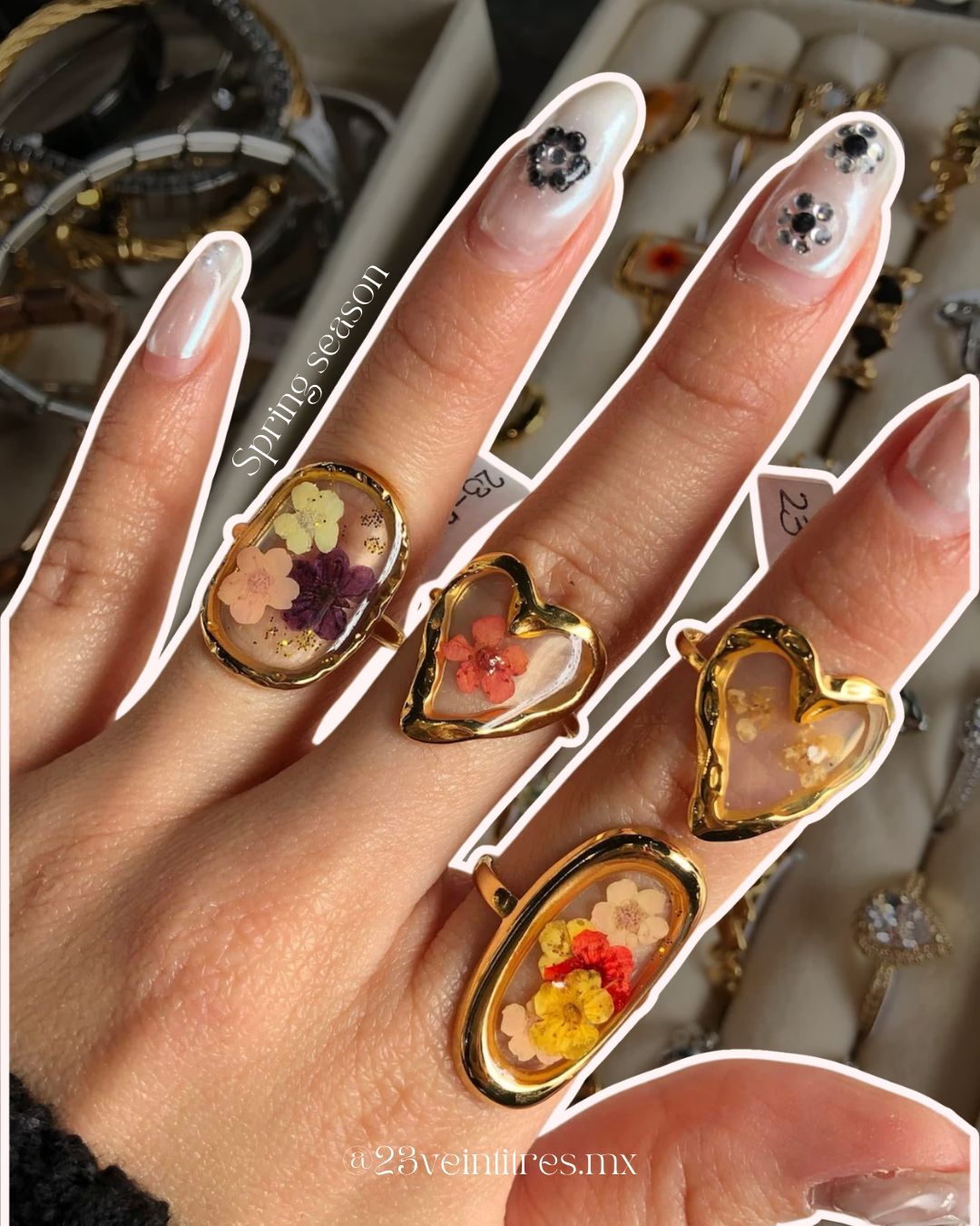 Anillos