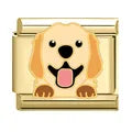 Charm dorado perrito golden