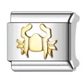 Charm plateado cancer