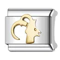 Charm plateado capricornio