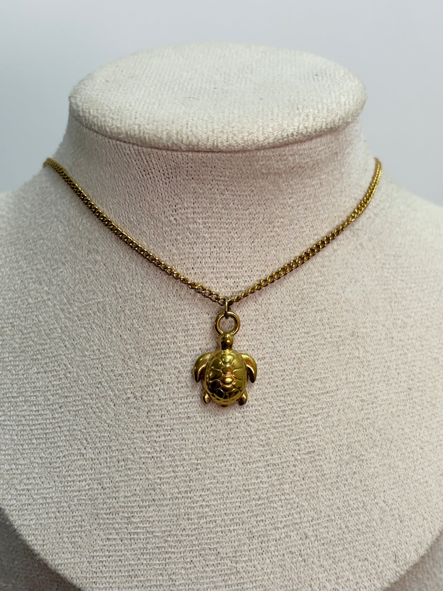 Collar tortuga