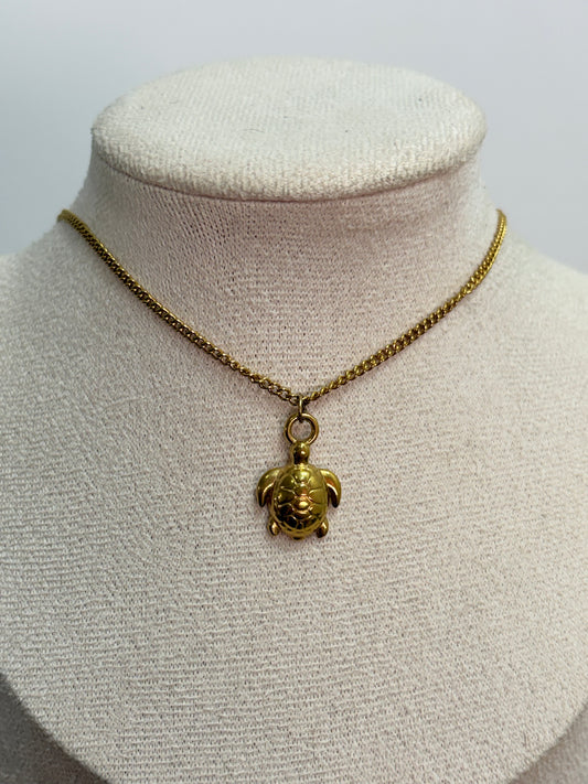 Collar tortuga